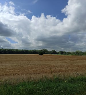 Autour de Milly-la-Forêt, terres de Jean Cocteau - Milly-la-Forêt - 7