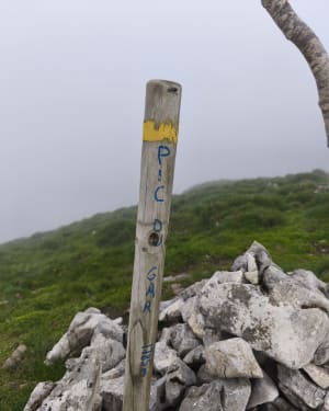 Pic du Gar au départ de Bézins - Bezins-Garraux - 8
