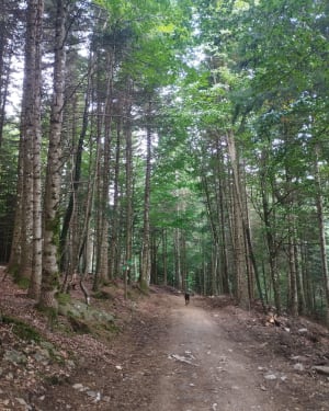 Mont Rouge depuis Monedeyres - Queyrières - 6