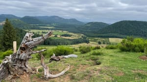 Rando du Puy de la Combegrasse depuis le camping Les Volcans - Aydat - 17