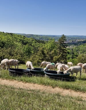 De Cahors au Mont Saint-Cyr - Cahors - 4
