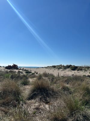 Le tour des marécages, entre étang et mer autour d'Agde - Vias - 42