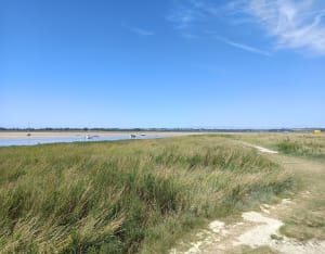 A l'assaut du circuit des Marais, entre terre et mer - Regnéville-sur-Mer - 7