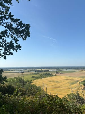 Marcher dans la campagne Corbarieunaise et bords du Tarn - Corbarieu - 3
