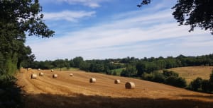 Montchauvet et virée charmante dans le bocage - Philippe - 2