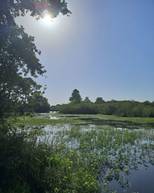 Promenade fleurie et lac de Mimizan - Barbara - 9