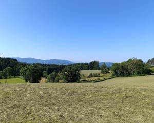 Balade au barrage de la Muratte et son ruisseau à truites - Palladuc - 2