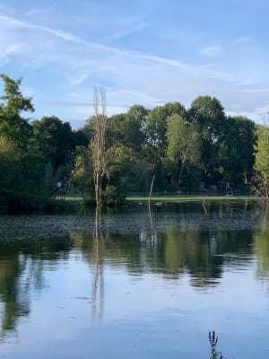 Een wandeling naar de Etang Fleuri en zijn buren - Vert-le-Petit - 17