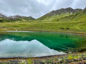 Randonnée familiale à la Plagne et caresses d'animaux - La Plagne - 28