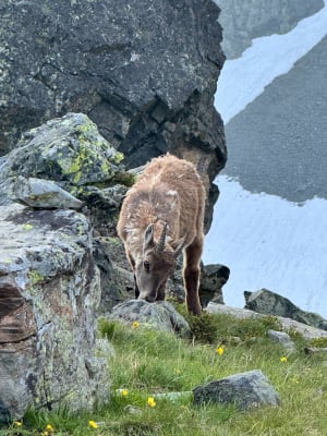 Randonnée au Lac Blanc et charmes montagnards de Belledonne - Saint-Mury-Monteymond - 10