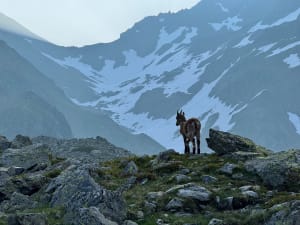 Randonnée au Lac Blanc et charmes montagnards de Belledonne - Saint-Mury-Monteymond - 11
