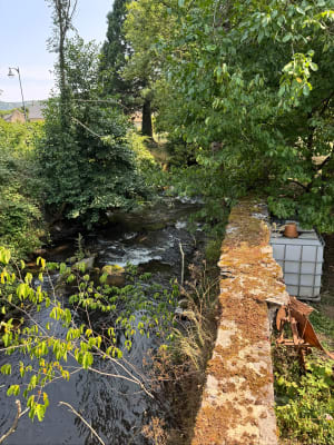 Saint-Diéry ses alentours et la  roche aux Fées - Saint-Diéry - 19