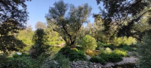 Balazuc, méandres de l'Ardèche et merveilles de la nature - Balazuc - 8