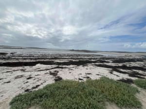 Dunes de Marguerite - Landéda - 8