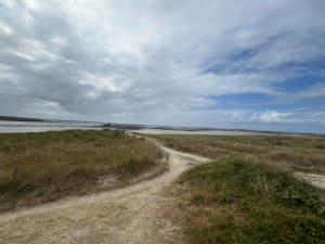 Dunes de Marguerite - Landéda - 11