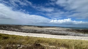Dunes de Marguerite - Landéda - 9