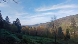 Magnifique cascades de la Serva et Magique Neuviller - Neuviller-la-Roche - 6