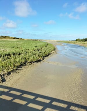 Balade à Lindbergh et Portbail - Caroline - 11