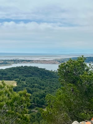 Gorges de la Goutine et grottes préhistoriques - Gruissan - 14