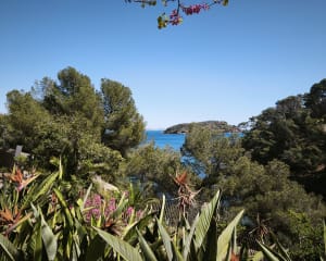 Heerlijke kleine wandeling in het park, de baai en het Mugel-uitkijkpunt - La Ciotat - 12