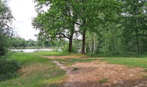 Parc des Bruyères à Fère-en-Tardenois - Fère-en-Tardenois - 10