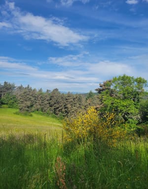 Randonnée entre Boussac et pigeonniers - Auzon - 8