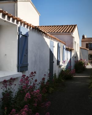 Balade à la gachère : le port de baleiniers et les marais - Arlette - 6