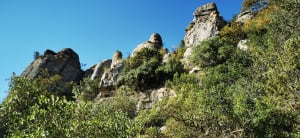 Ballade de Lanas à Servière et retour - Lanas - 47