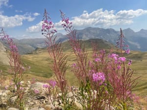 Randonnée jusqu'au Lac de Pisses par les 6 lacs - Orcières - 7