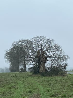 Balade dans la campagne de La Landec - La Landec - 2