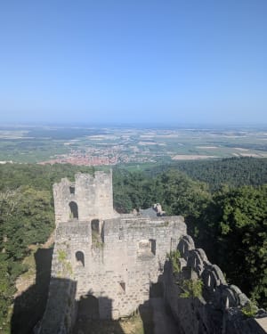 Château du Bernstein - Saint Pierre des Bois - 8