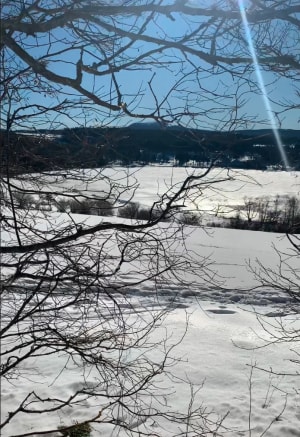 Découverte du Lac de Saint-Front et massif du Mézenc en fond - Saint-Front - 19