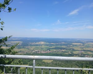 Fort de la Dame Blanche - Thallenay - 8