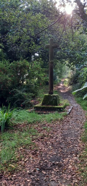 Balade autour de Clairefontaine - La Hague - 10