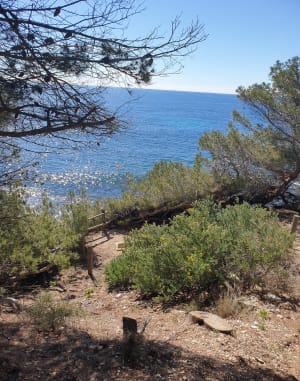 Het kustpad van Sausset-les-Pins naar Carry-le-Rouet - Sausset-les-Pins - 19