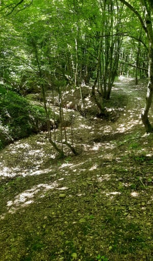 La fon du Loup depuis Montseveroux - Montseveroux - 4