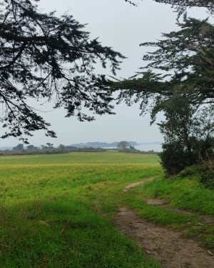 A l'assaut de la Butte de César via le sentier côtier - Arzon - 13