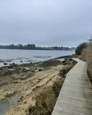 A l'assaut de la Butte de César via le sentier côtier - Arzon - 15
