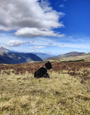 Randonnée du Lac de Boum de Soulas depuis Peyresourde - Loudenvielle - 36
