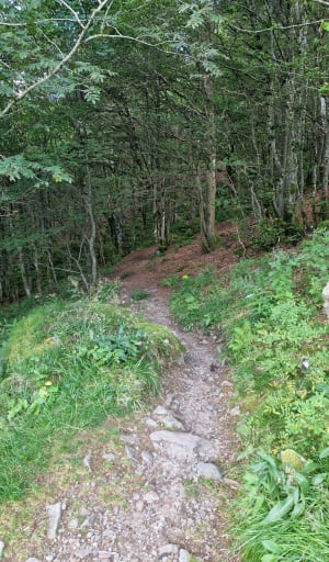 Route langs de Rothenbachkopf - Wildenstein - 32