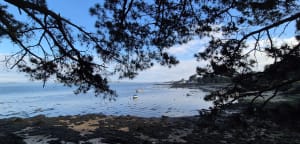 Pointe de l'ours - Bernon - 9
