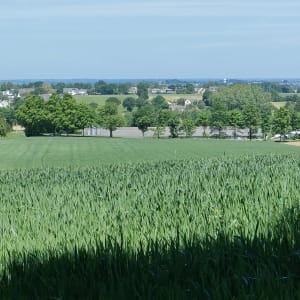 Virée à Bréal-sous-Montfort et charmants paysages bretons - Bréal-sous-Montfort - 2