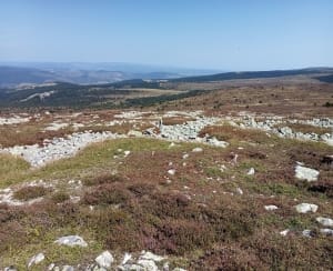 Échappée sur les grands espaces enneigés du Mont-Lozère - Pont-de-Montvert - 10