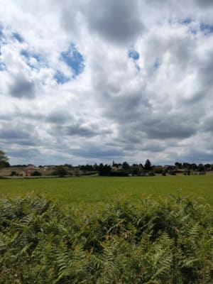 Des Andrivaux à Merlande - Chancelade - 3