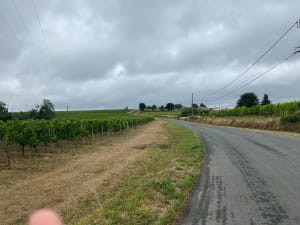 Boucle de Bellevue et découverte de son étonnant château - Tizac-de-Curton - 3