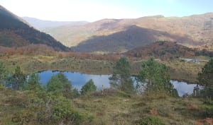 Boucle de l'étang de Lers : sentier découverte faune flore - Sentenac - 28