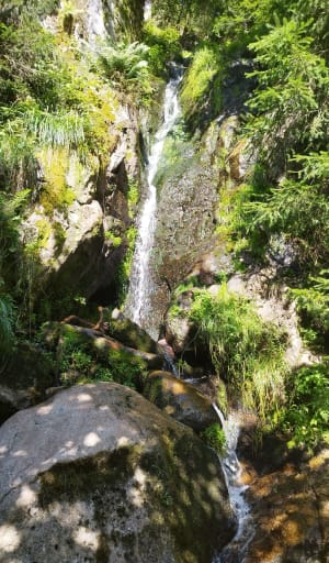 Sentier des Roches par la l'auberge des Trois Fours - Le Valtin - 39