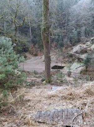 Epinal et bois de la Vierge - Christine - 6