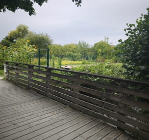 Balade autour de Saint-André-les-Vergers - Claudine - 2