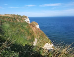 Wandeltocht langs de kust en de Aiguille de Belval - Bénouville - 59